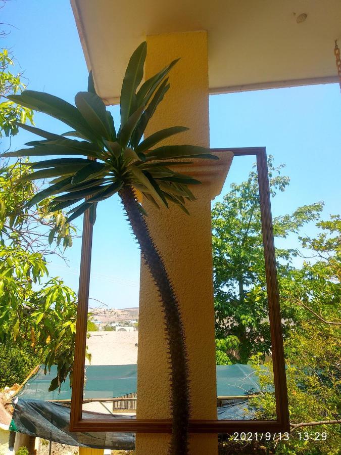 Room In Guest Room - Padrinos Hostal La Paz Full House Exterior photo